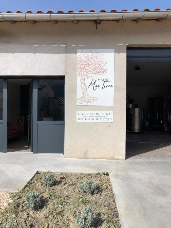 Domaine Mas Terra Acomodação com café da manhã Saint-Paul-de-Fenouillet Exterior foto